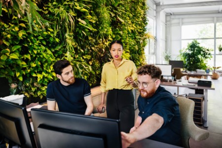 Office Team Working At Computer Desk In Front wall of plants