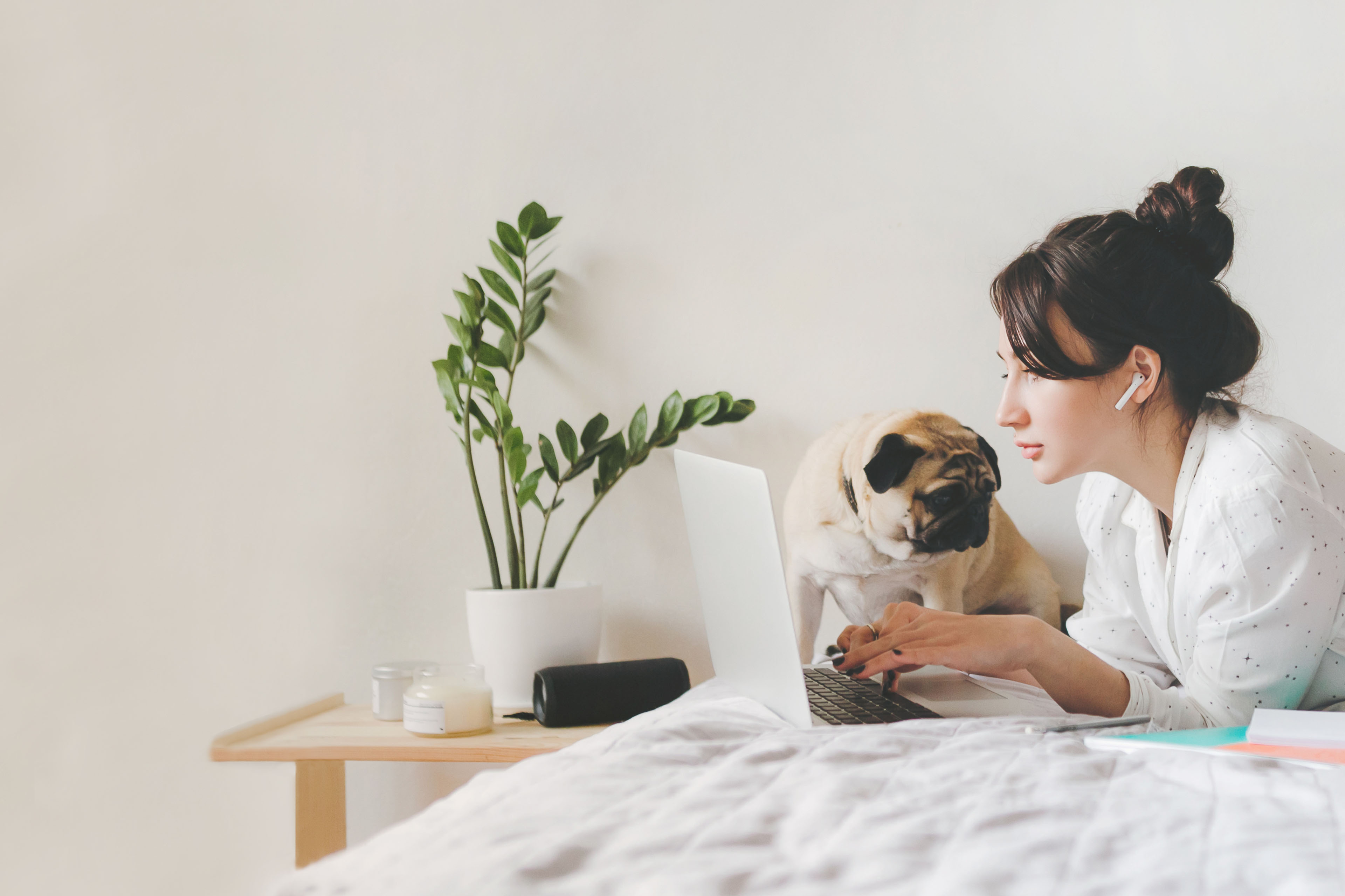 Woman working at home with laptop on bed near a dog