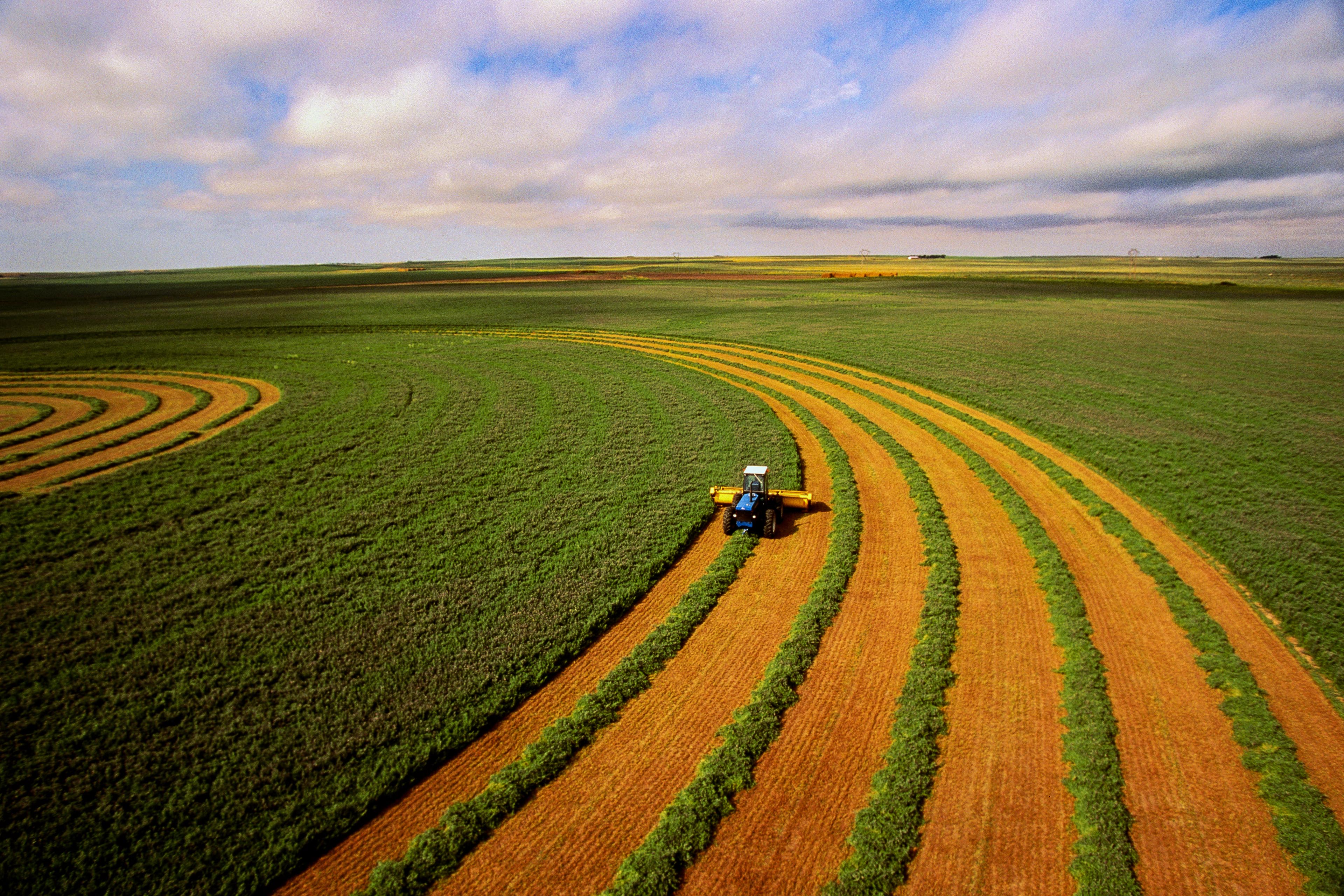 How the agriculture sector adopted climate-related disclosures | EY - Global