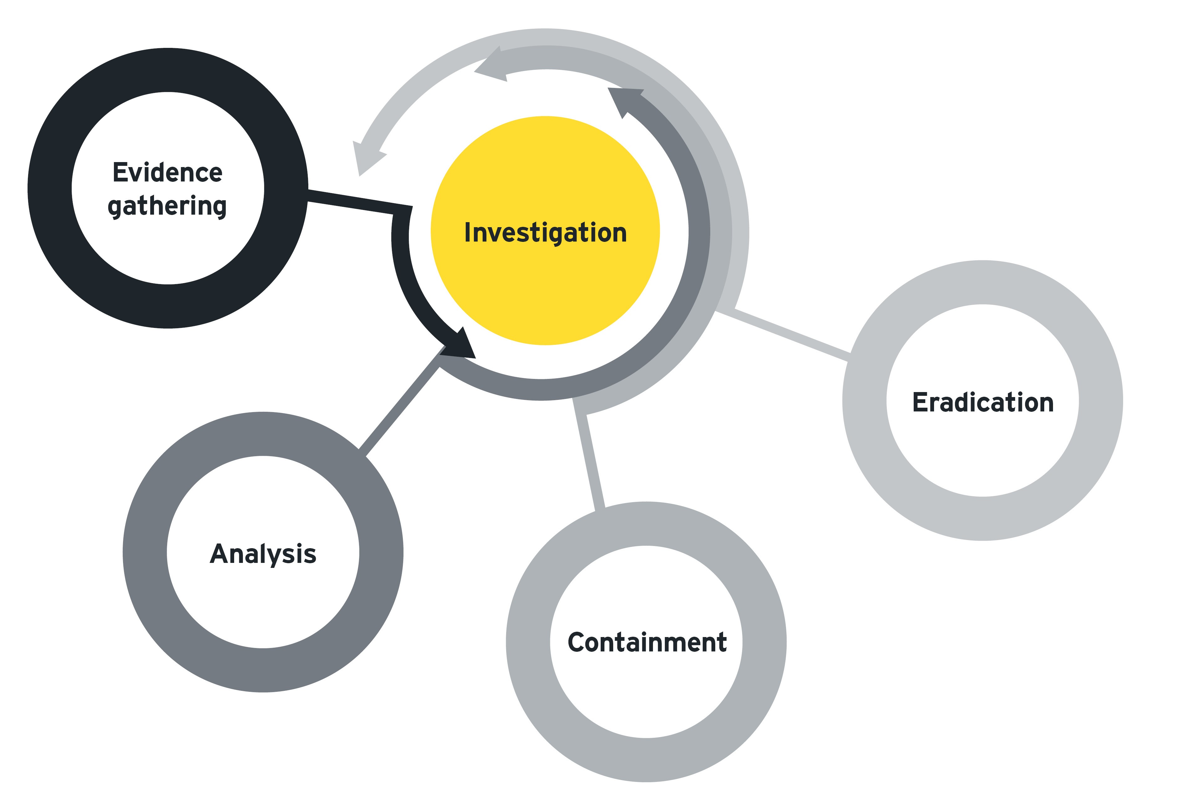 Forensic investigations flow chart