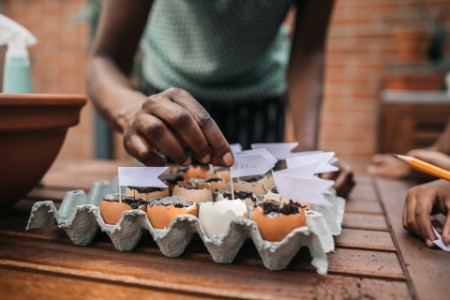 
            Madre e hijo haciendo un jardín de cáscaras de huevo
        