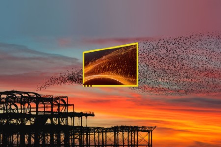 Imagen de la puesta de sol con pájaros volando en el horizonte, campaña Reformula tu futuro