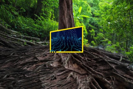 
            Redéfinir son avenir – arbre ayant des racines numériques
        