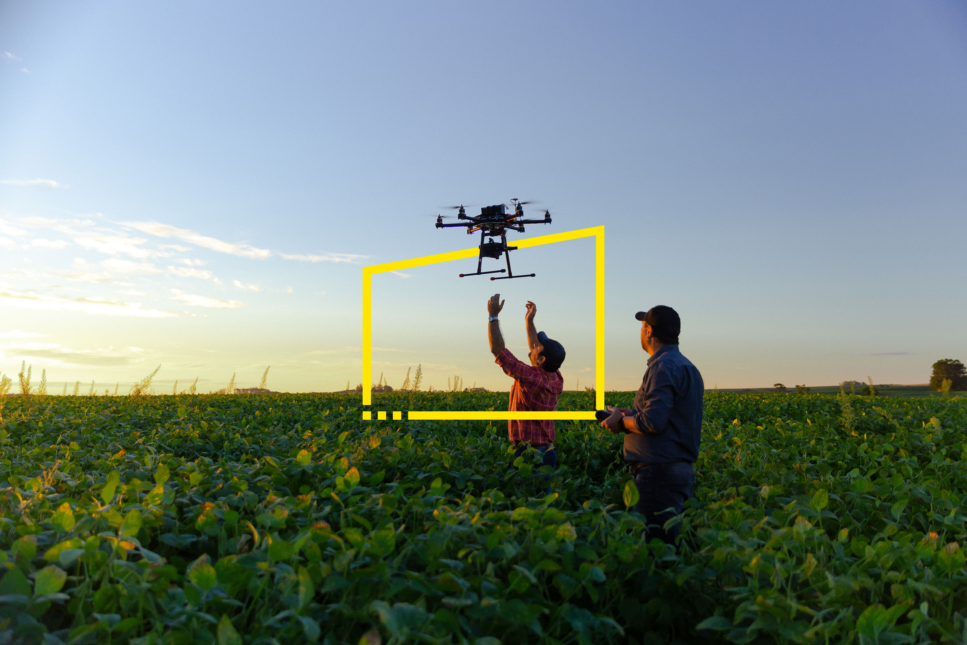 Farmers use a drone to check their crop
