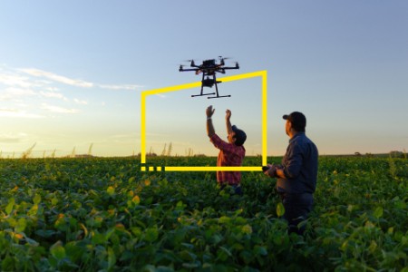 Farmers use a drone to check their crop in a field