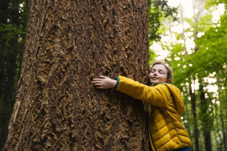 Young girl hugging a big tree trunk