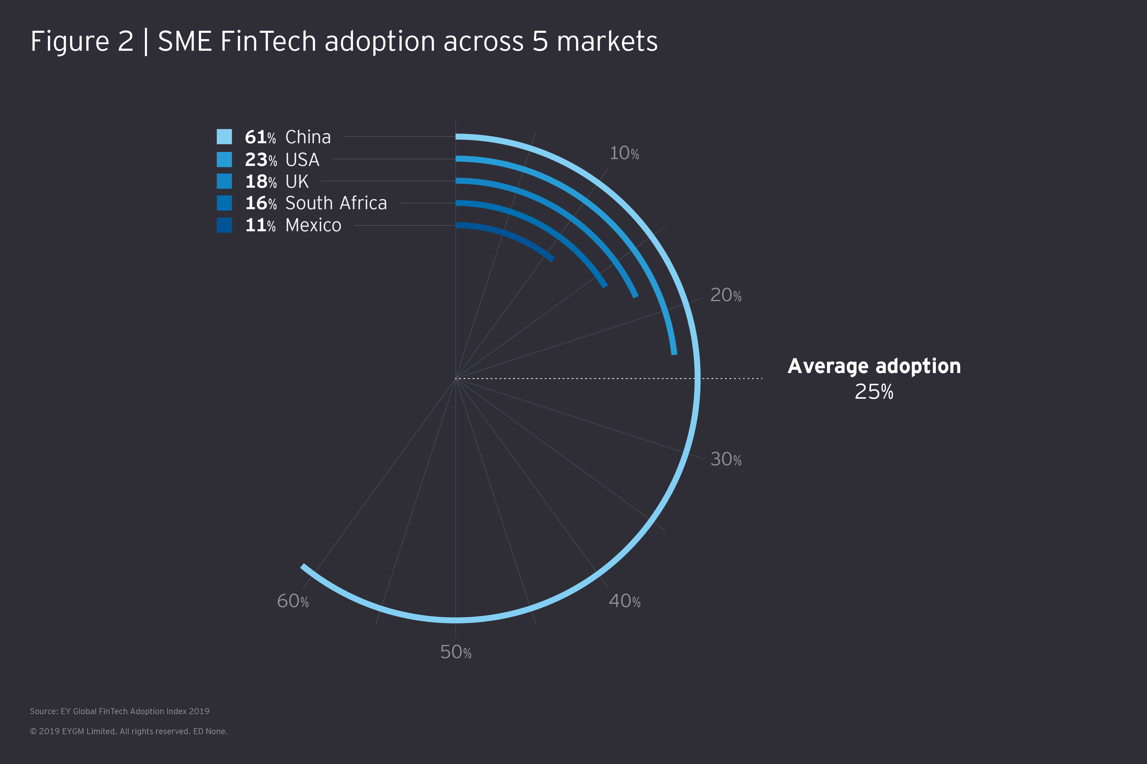 SME FinTech adoption across 5 markets info graph