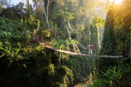 熱帯雨林の吊り橋を歩くバックパッカー