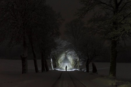Man standing outdoors at night in tree alley shining with flashlight in Swedish winter landscape