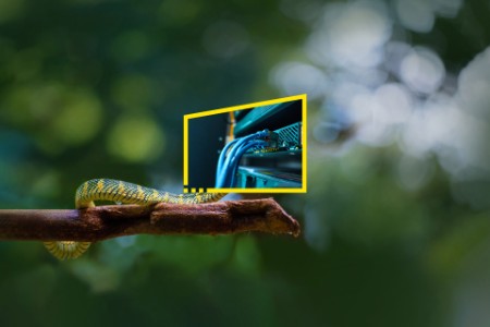 
            Imagen de una serpiente superpuesta con una imagen de cables
        