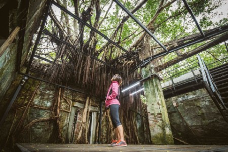 Mujer de pie en el interior de una vieja casa cubierta de raíces y ramas de plátano