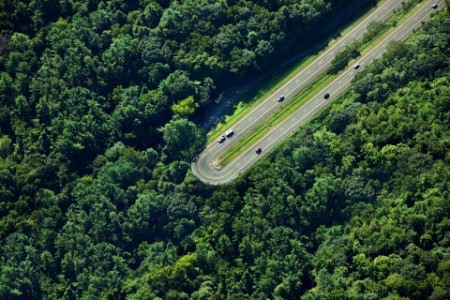 Highway U-turn in forest