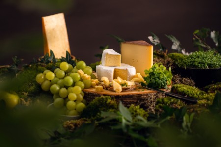 A cheesy selection of cheese with grapes