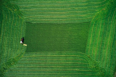 vista aérea de um pasto de grama sendo arado por um trator