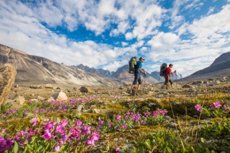 Hikers with backpacks walking past flowers in mountains