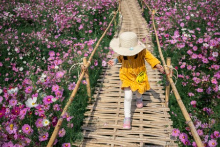 Una niña camina por un jardín de flores