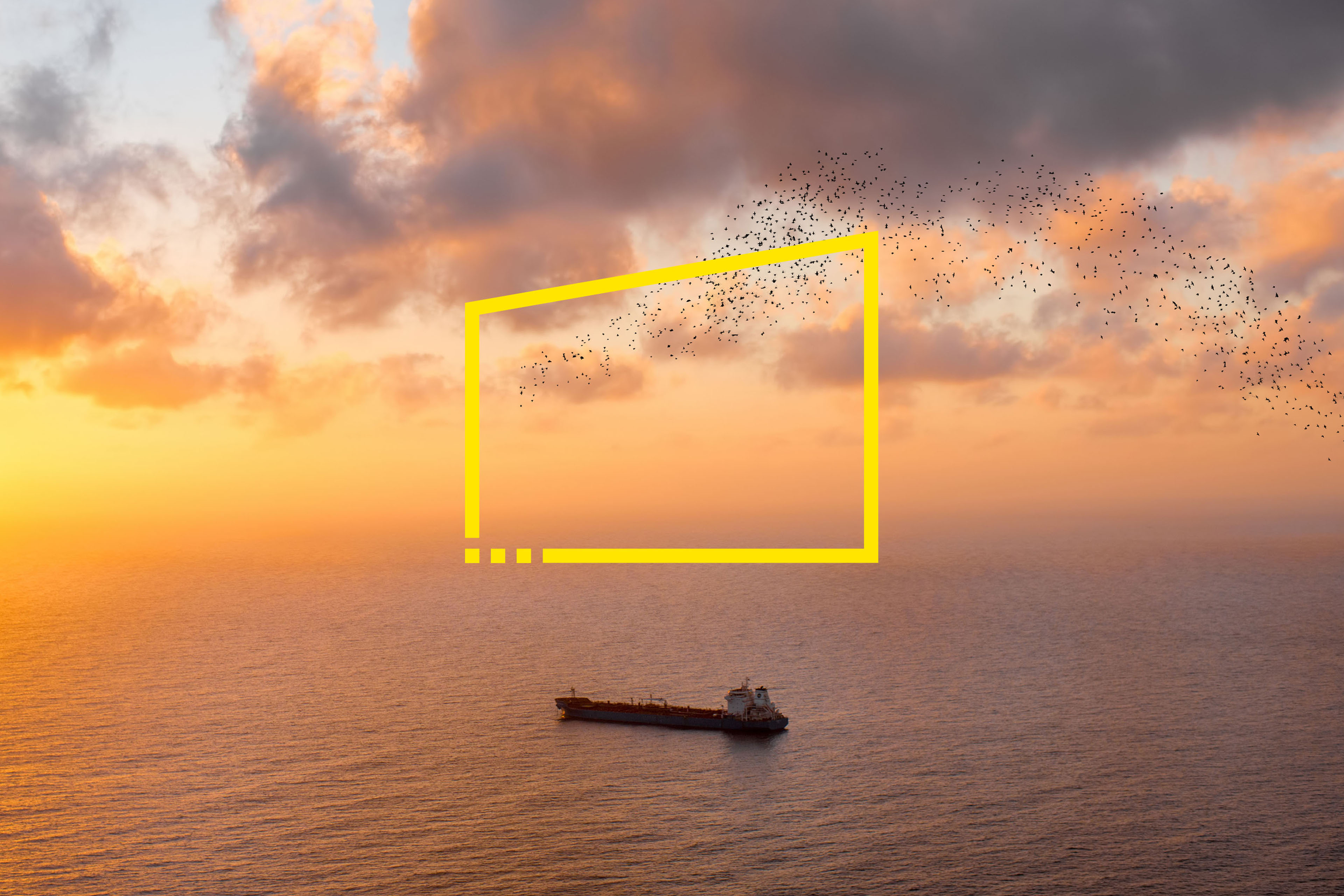 tanker with flock of birds sunset