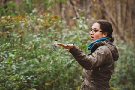 A photograph of a girl feeding a white-breasted nuthatch in the forest