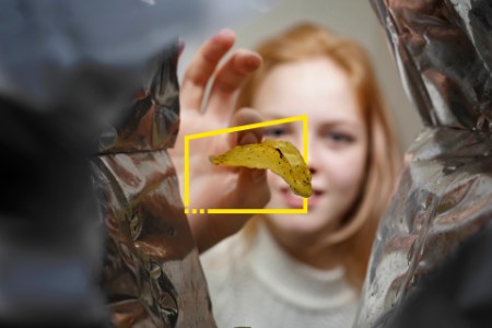 Photo of a girl reaching to take a potato chip from the bag