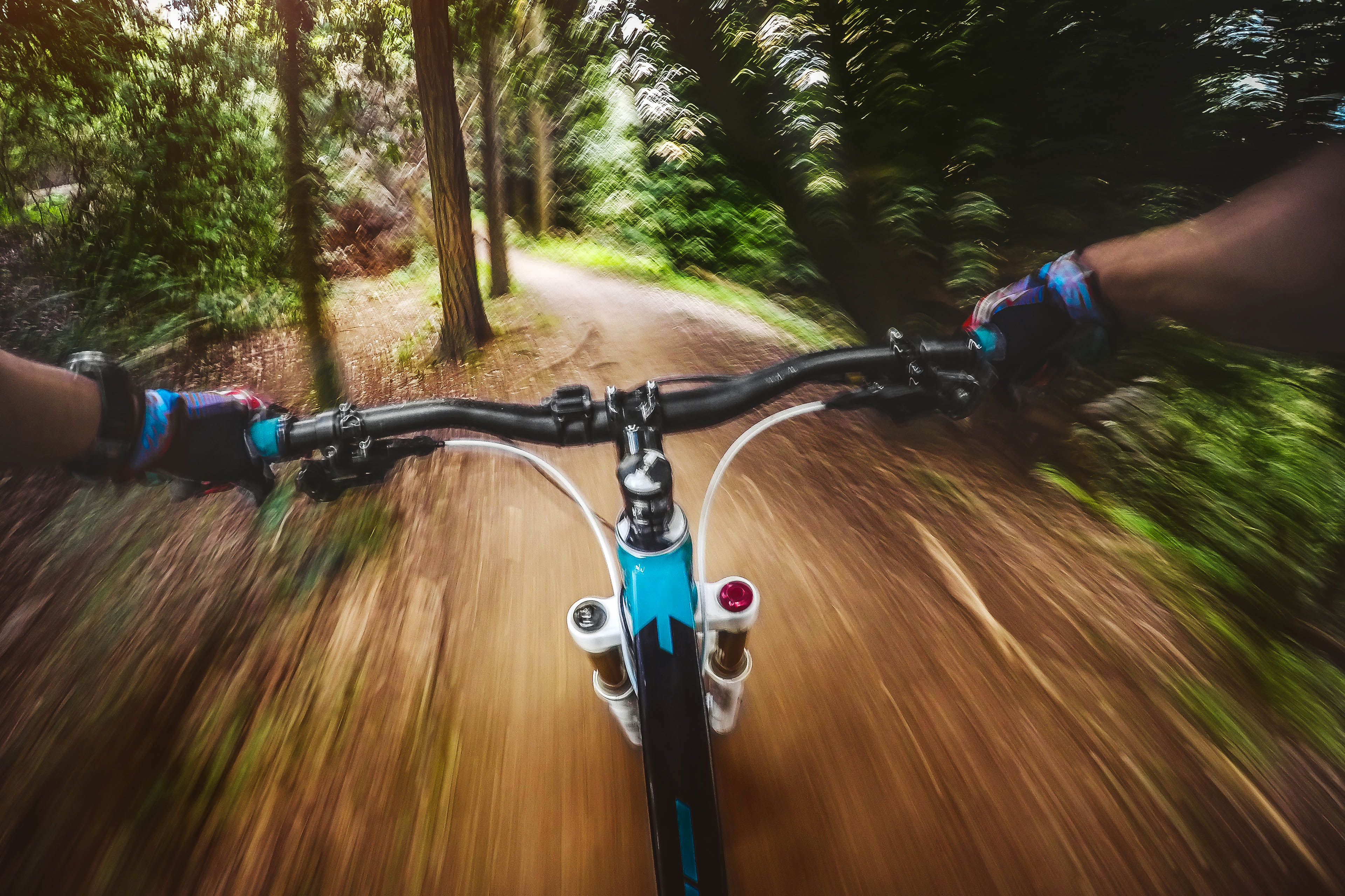 Mountain biker riding a fast single trail in the forest