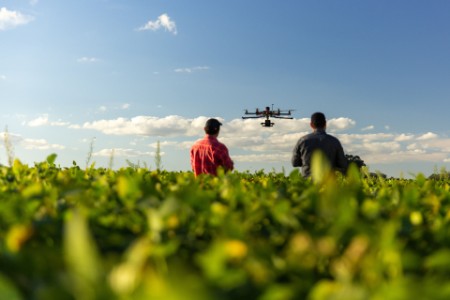 farmers watch a drone in soybean field