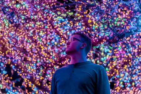 Low Angle View Of Man Standing Against Illuminated Trees