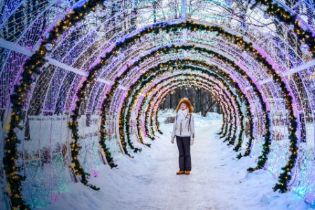 
            Mujer de pie bajo las luces de Navidad en el parque
        