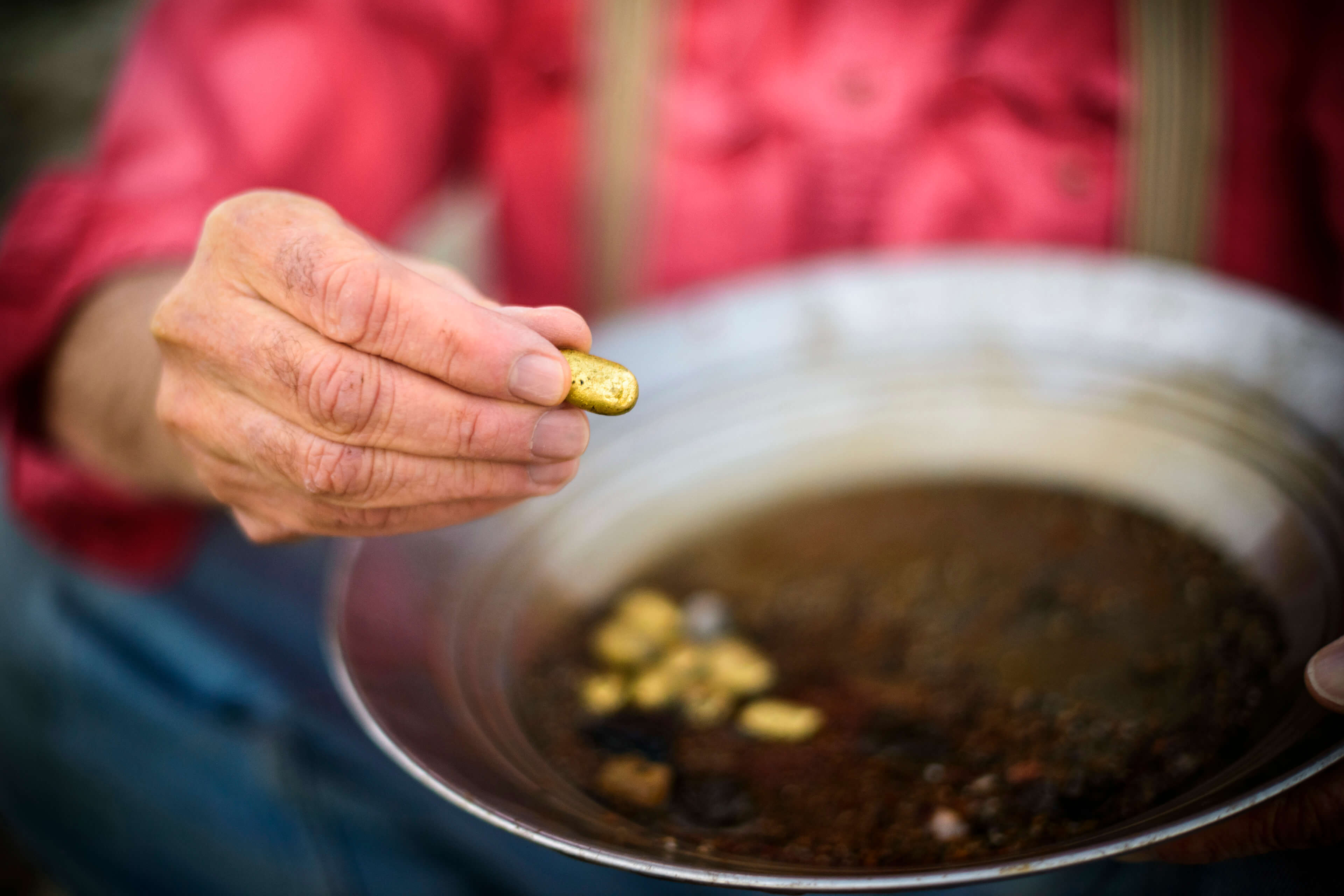 Finding treasure amongst rubbish – a hand holds a gold nugget from a sifting pan