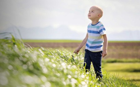 Young boy in an open field looking toward the sky