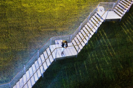 Empresario en escaleras sobre un jardín vertical