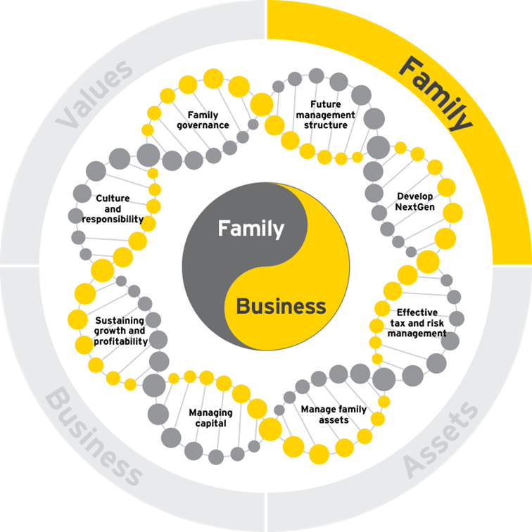 family business growth dna family 03