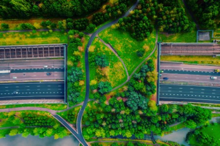 Drone view of green bridge with public park crossing above highway