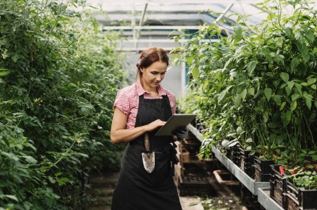 gardener digital tablet greenhouse