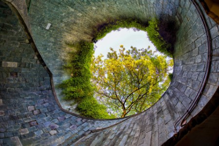 Mirando hacia arriba dentro del túnel del parque Fort Canning