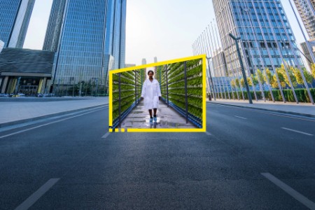 Woman in lab coat walks through a garden inside a yellow frame in the middle of an empty city road
