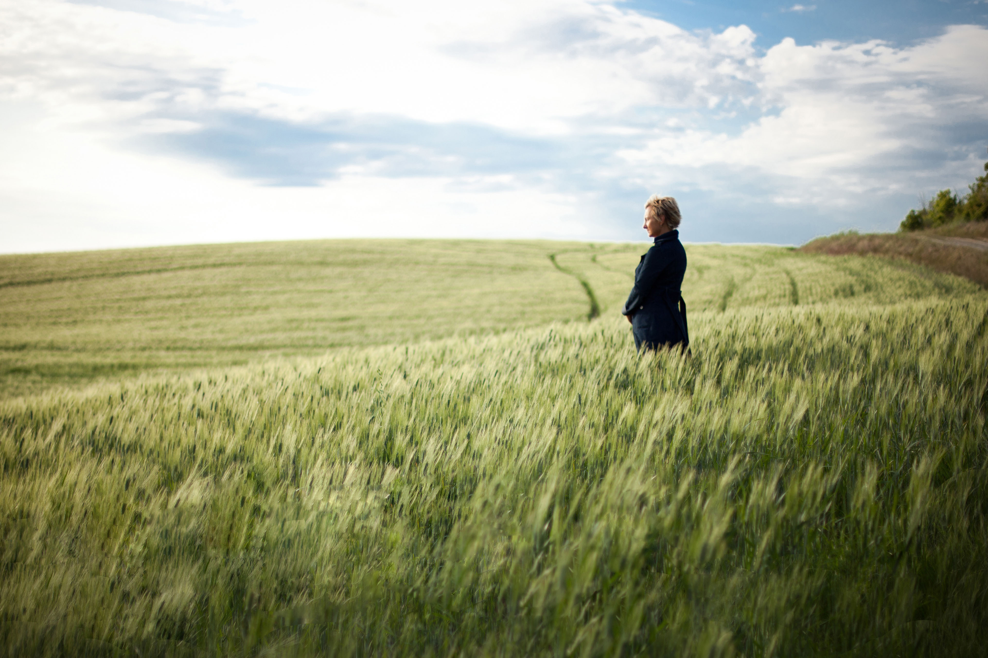 In the field предложения