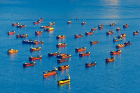 
             Flota de buques que portan contenedores en el mar
        