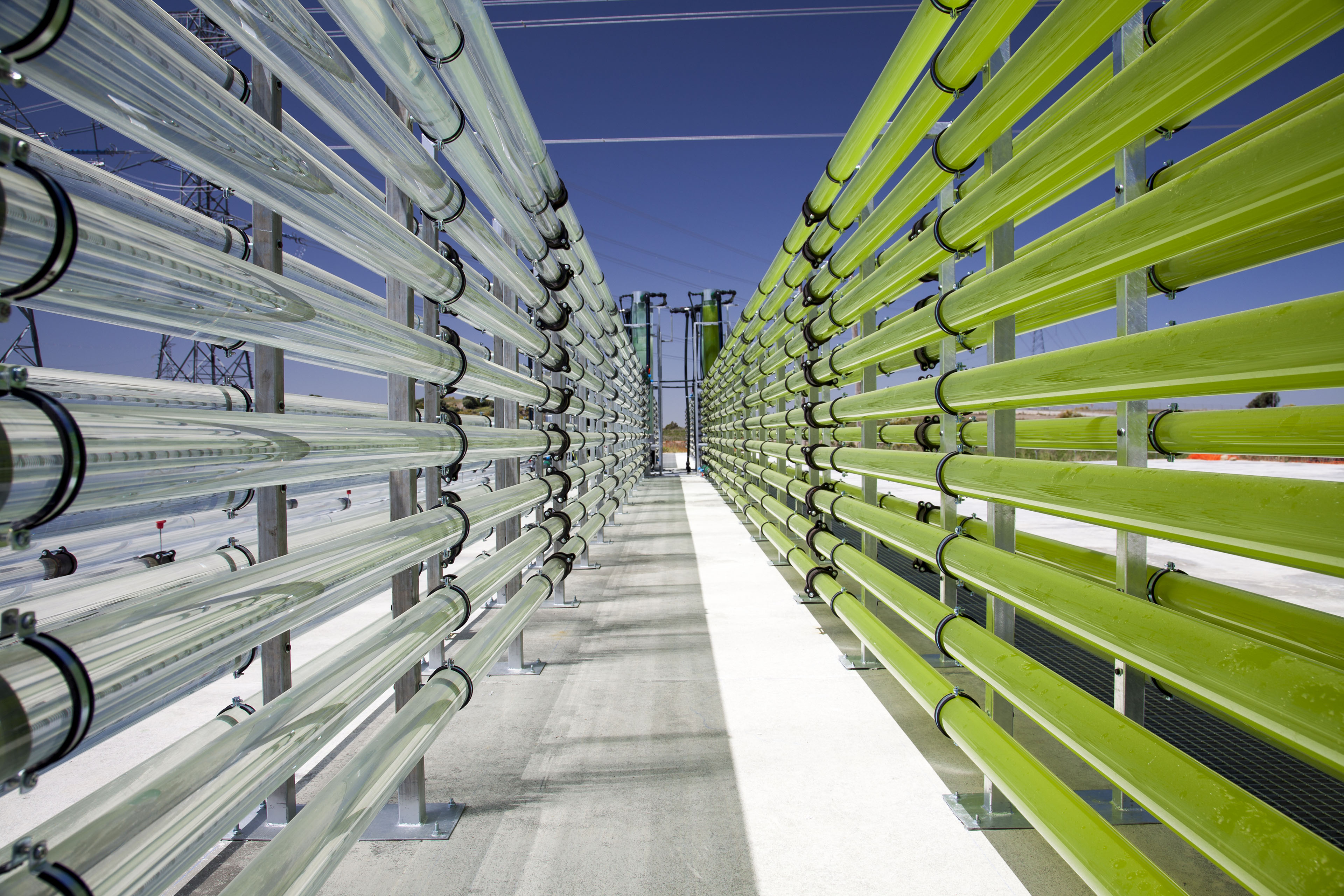 Tubular bioreactors filled with green algae fixing CO2