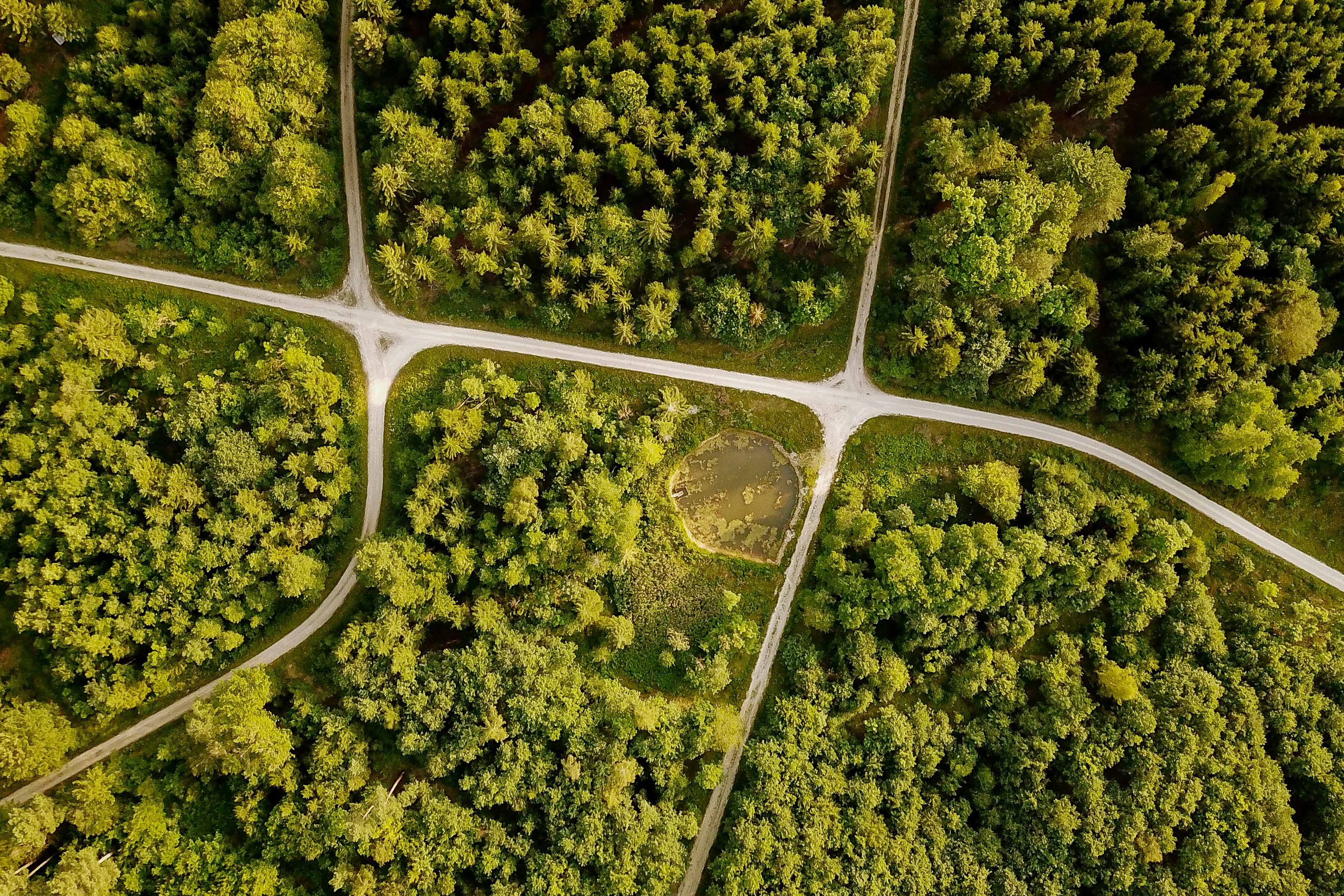 Six ways that governments can drive the green transition | EY - Global