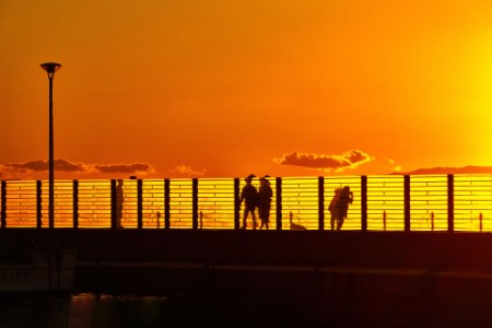 People silhouetted at sunset against fence