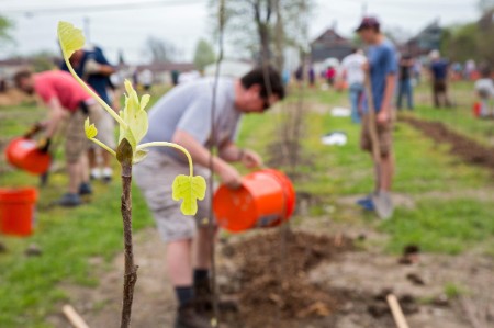 
            Vrijwilligers planten bomen op een stadslandbouwproject in Detroit
        