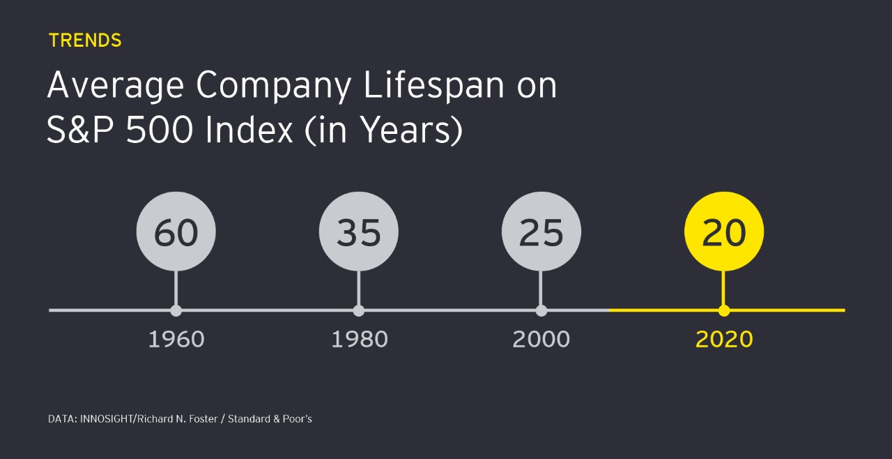 Average life span infographic