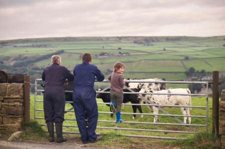 family farmers looking weather beaten field