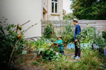 Father and son watering raised bed in garden