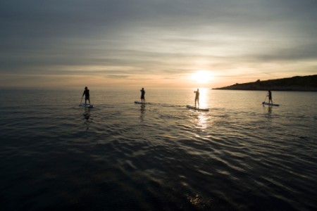 High angle shot of people on paddleboards at sunset