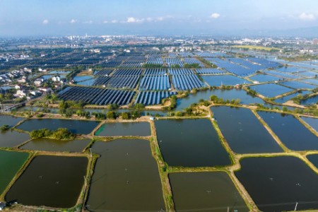 Drone perspective view of solar power stations on fish farm