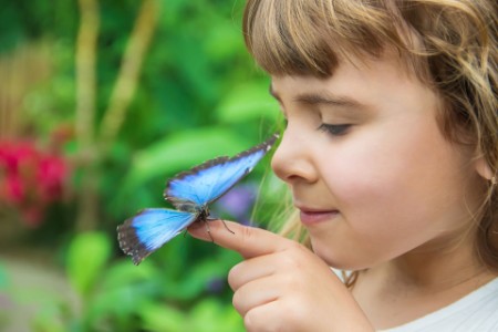 Child with a butterfly on her finger