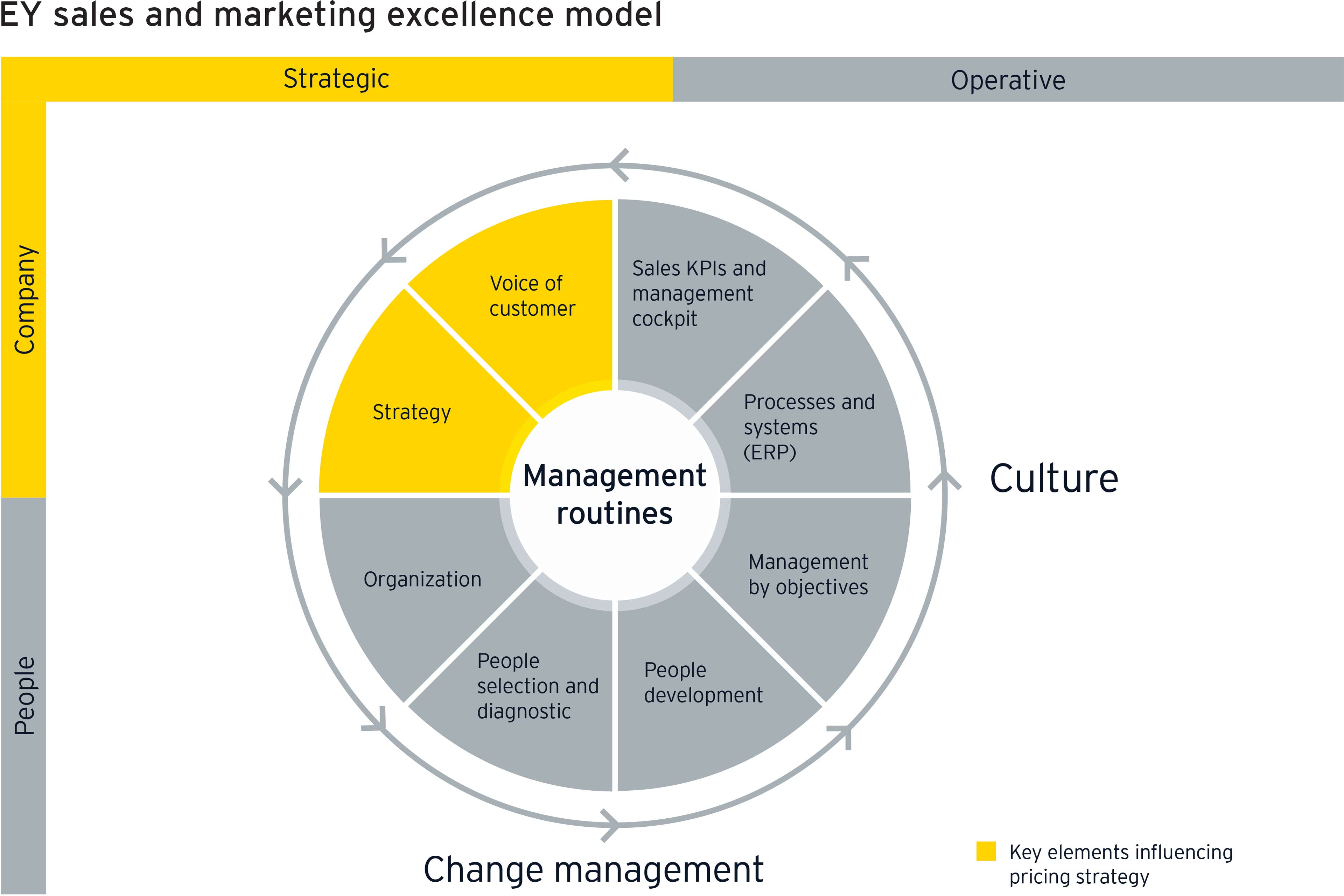 EY sales and marketing excellence model