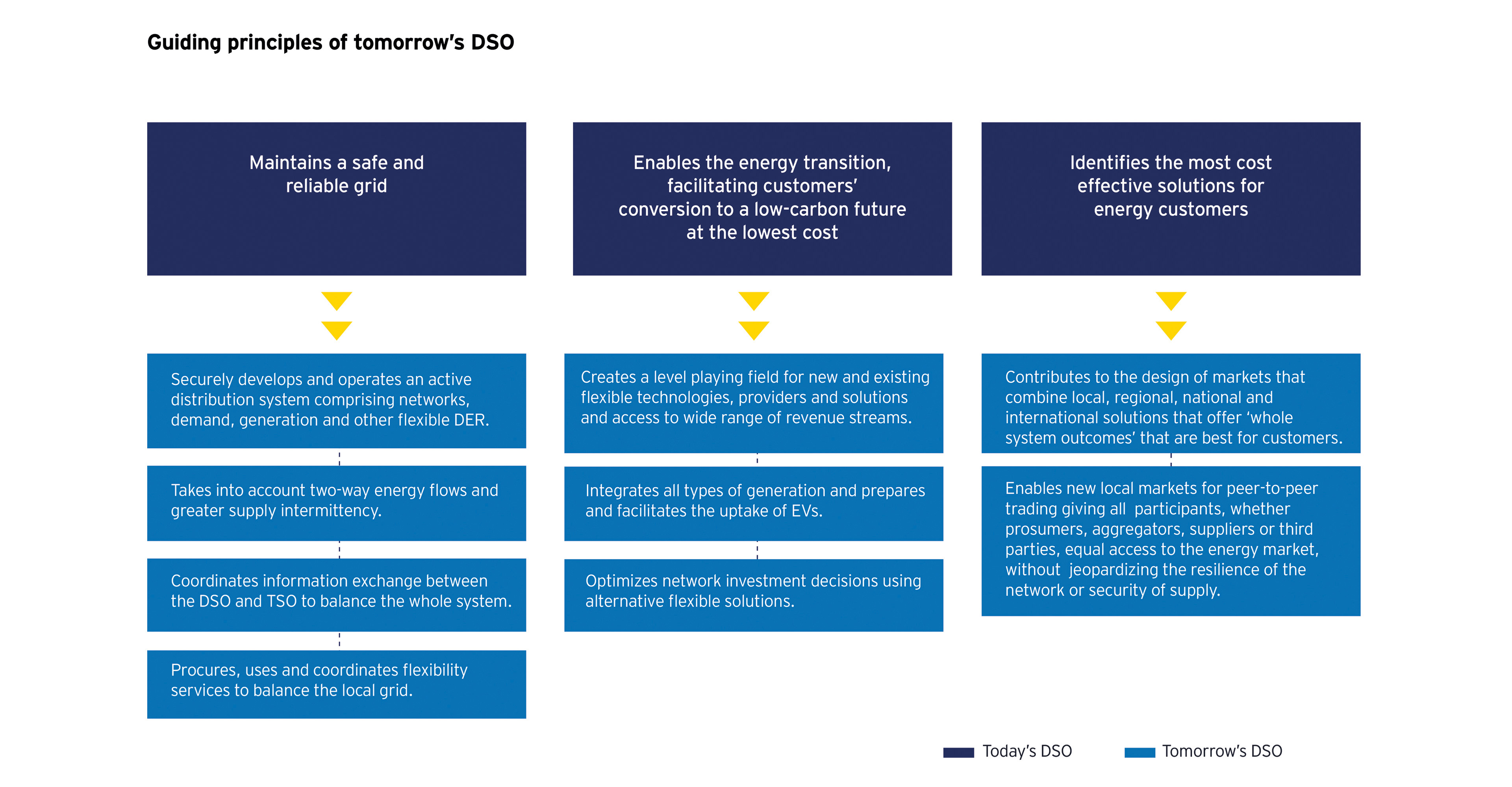 Guiding principles of DSO