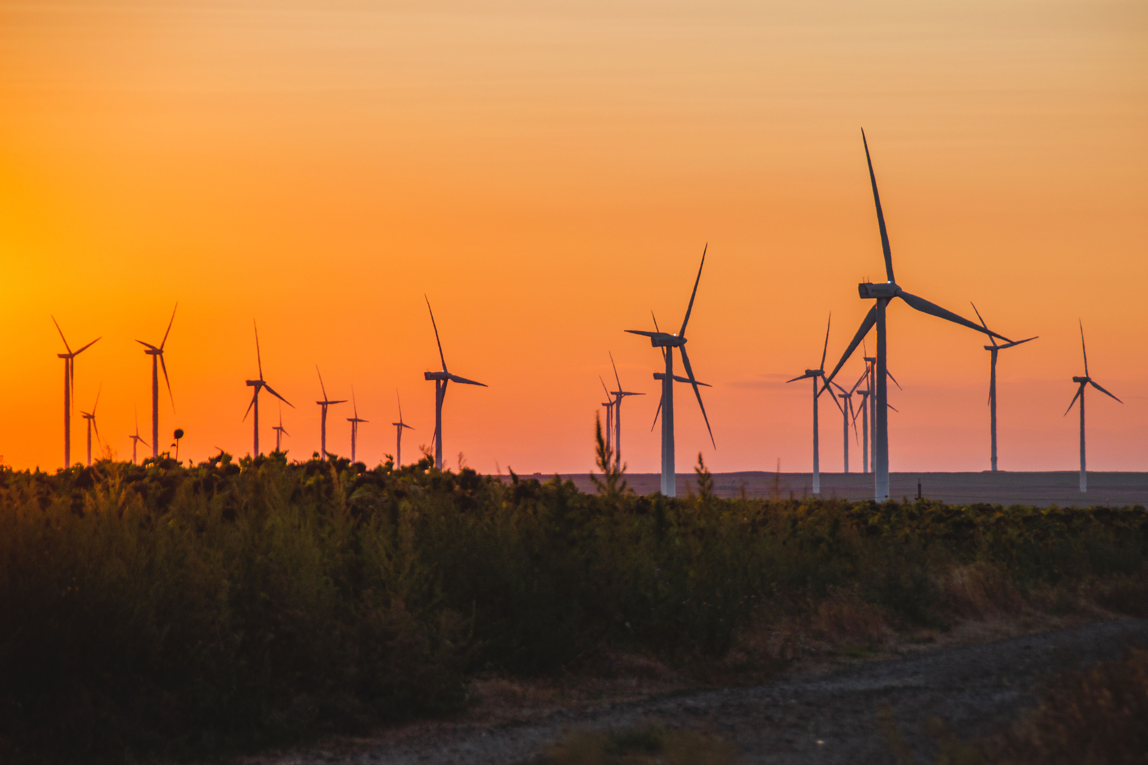 Windfarms raise incomes and house prices in rural US, study finds - Carbon  Brief